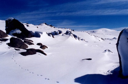 The Snowy Mountain ranges